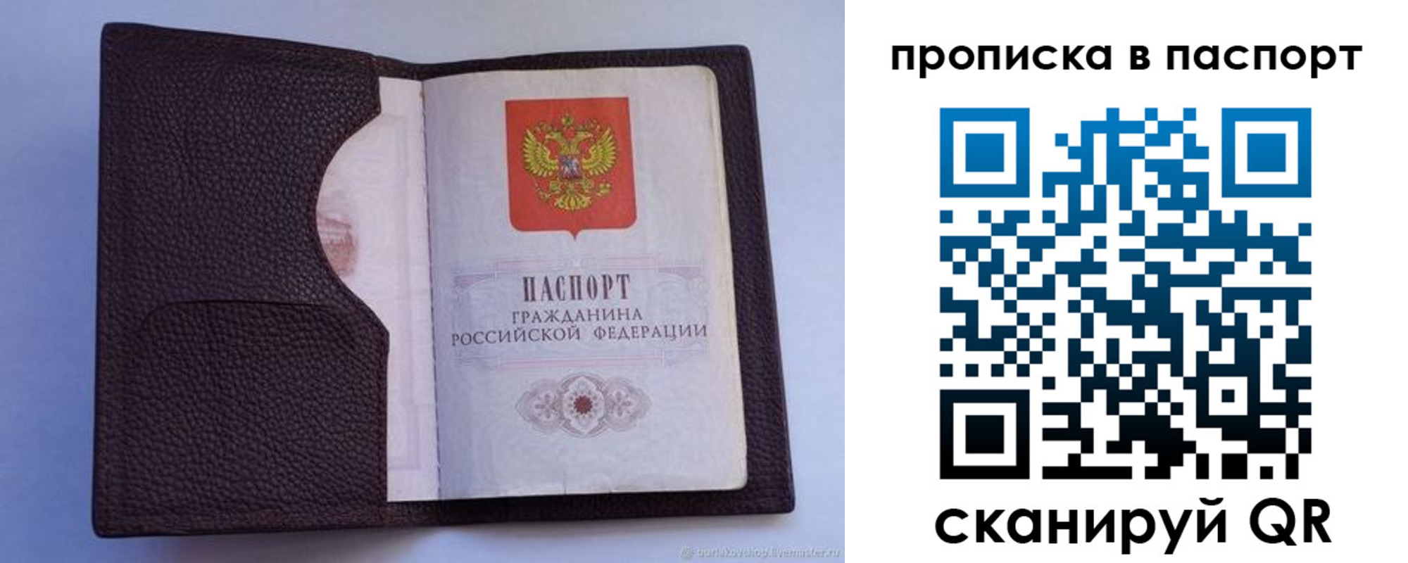 прописка законно в Дятьково